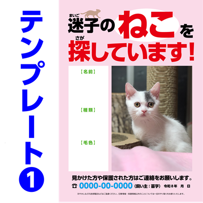 迷子ネコ捜索チラシテンプレート-1