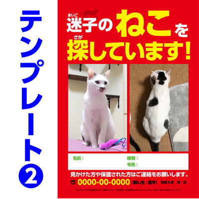 迷子ネコ捜索チラシテンプレート-2