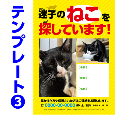 迷子ネコ捜索チラシテンプレート-3