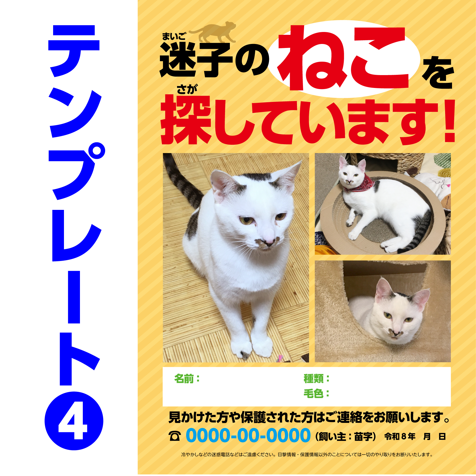 迷子ネコ捜索チラシテンプレート-4