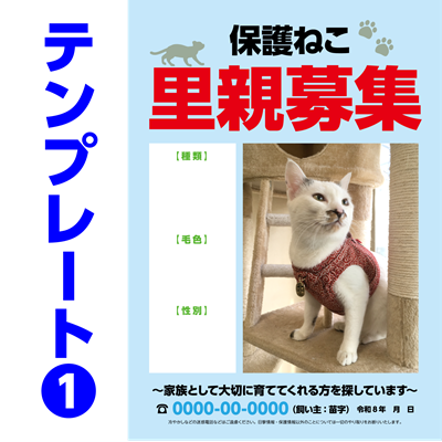 保護ねこ里親募集チラシテンプレート-1