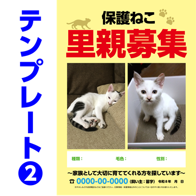 保護ねこ里親募集チラシテンプレート-2