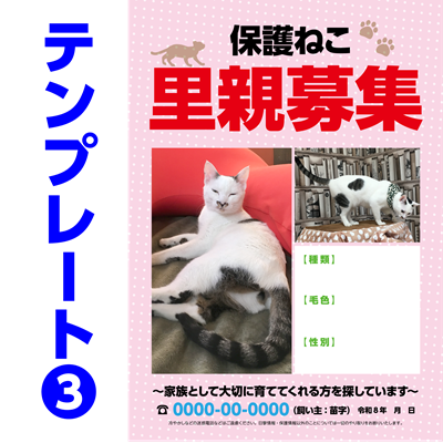 保護ねこ里親募集チラシテンプレート-3