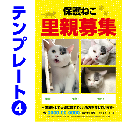 保護ねこ里親募集チラシテンプレート-4