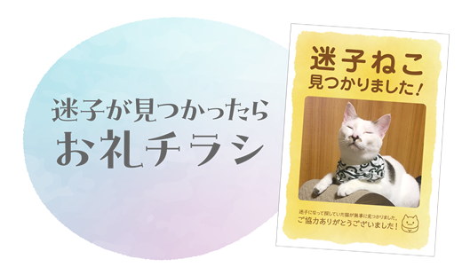迷子ねこお礼チラシ-1