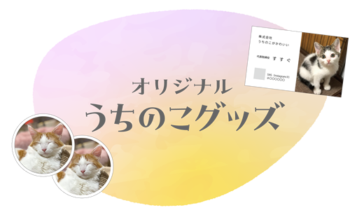 迷子ねこお礼チラシ-2